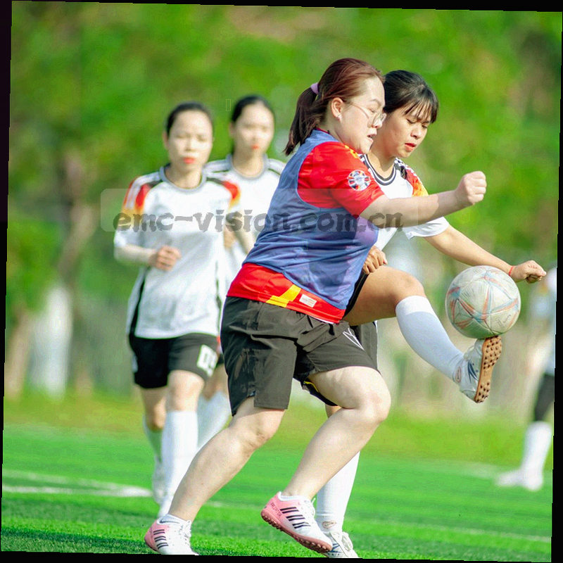 数据可视化界面特写，柱状图与等宽数字清晰可见